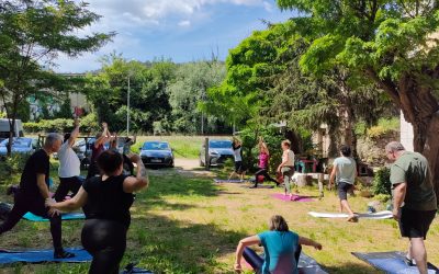 Ioga i Meditació envoltats de natura a Espinavessa