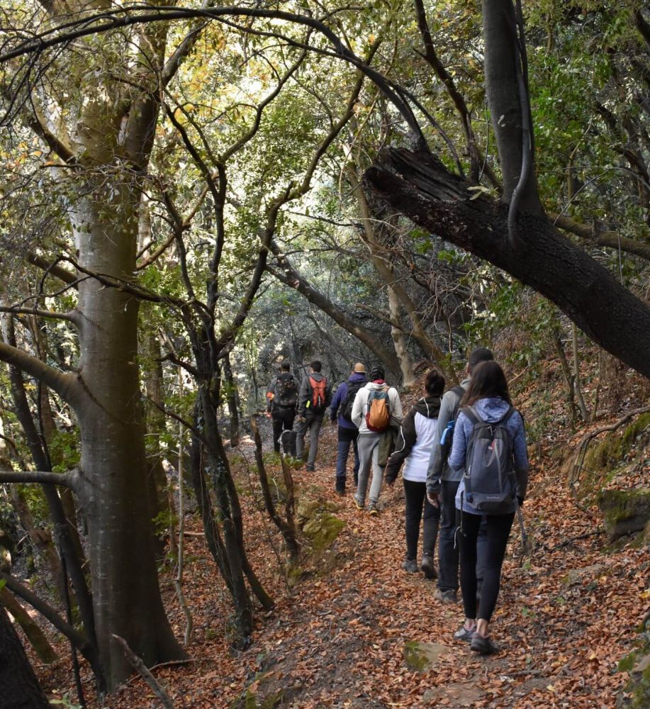 Excursió a Rocacorba en grup - Santuari de Rocacorba i el Golany - FreeAdventour