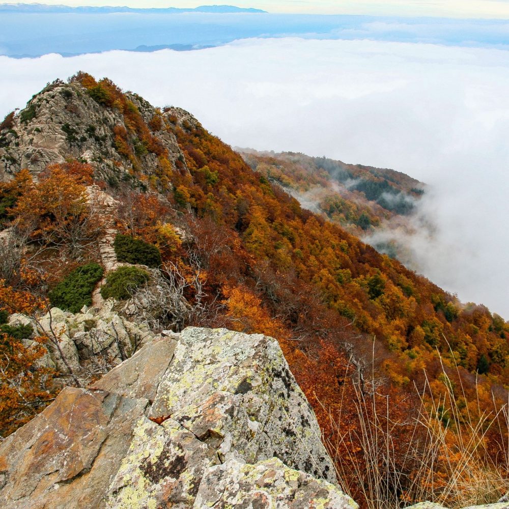 Excursión Las cumbres del Montseny en pleno otoño