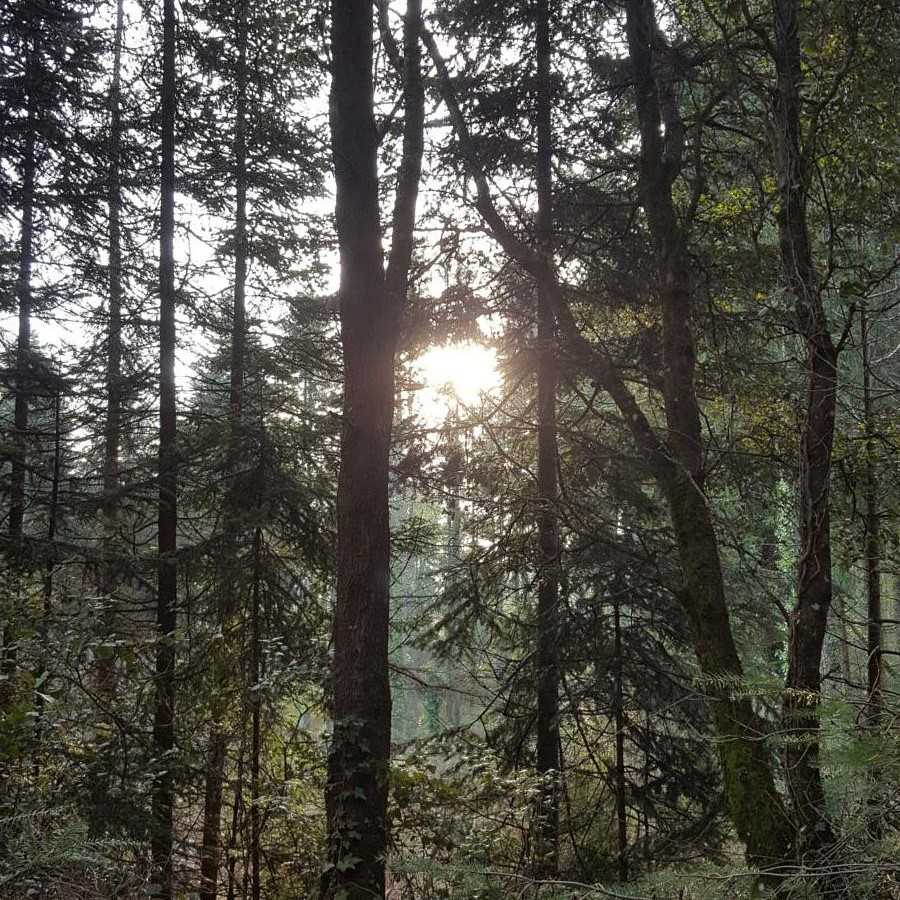 Excursión Espinelves