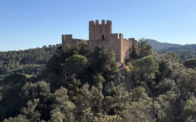 Castell de Santa Coloma de Farners