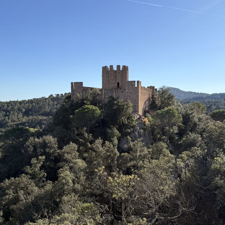 Castell de Santa Coloma de Farners