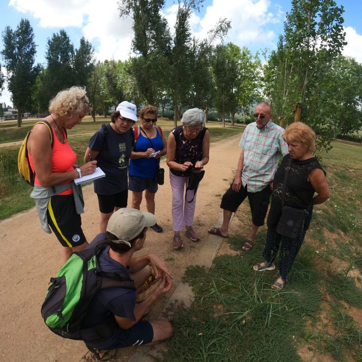 Etnobotànica Cervià de Ter