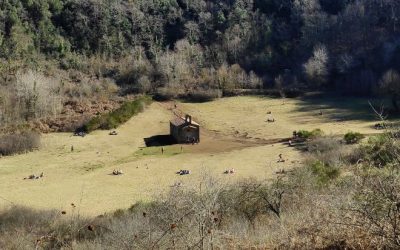 Volcans de la Garrotxa: el Croscat i Santa Margarida