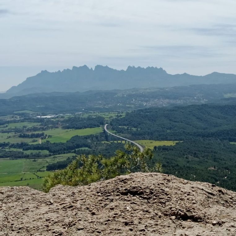 Ruta