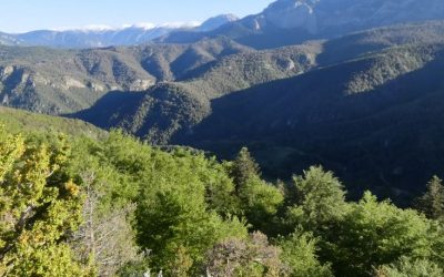 Rasos de Peguera i les Canals del Catllarí
