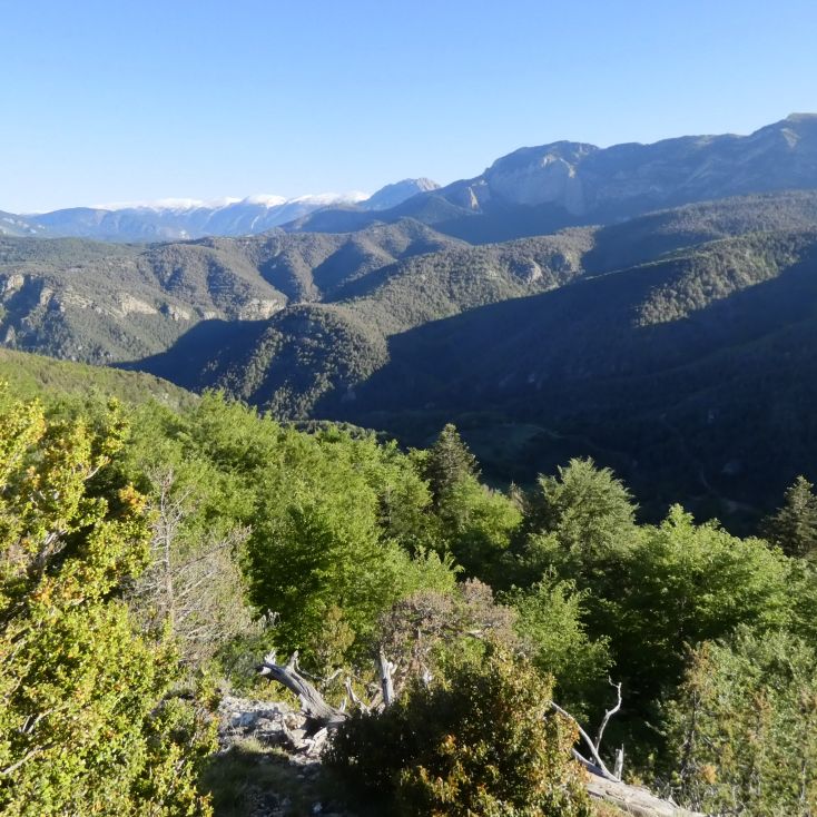 Excursió Rasos de Peguera i les Canals del Catllarí