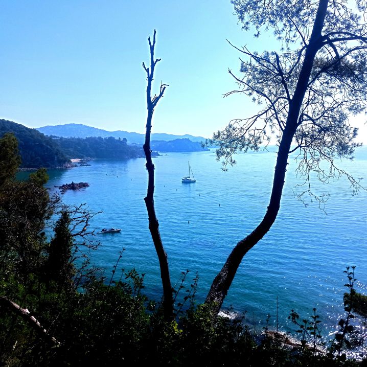 Ruta en blanes