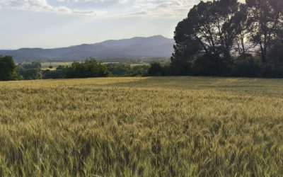 Solstici d’Estiu: passeig conscient i ritual solar