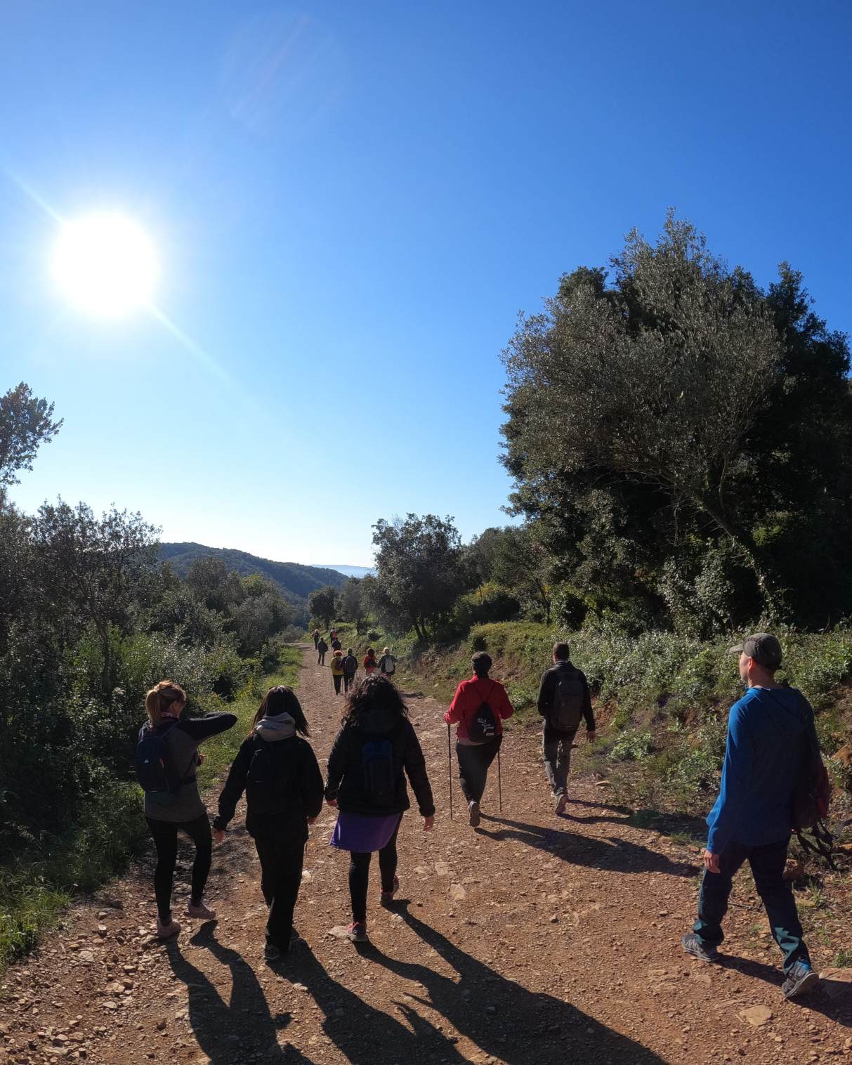 Grup caminant per un sender assolellat entre arbres i vegetació.