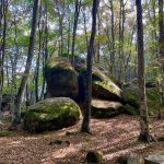 Excursió al Collsacabra i les roques encantades