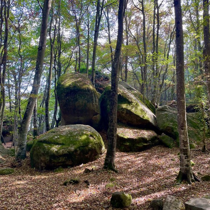 Excursió al Collsacabra i les roques encantades
